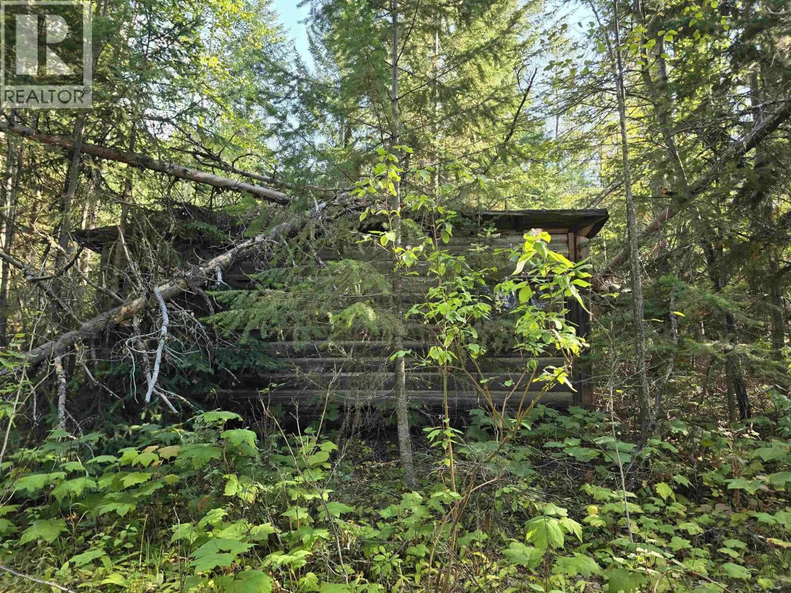 Photo 3 of 12 at 11328 16 Highway