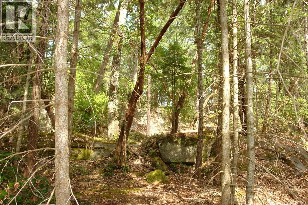 Photo 4 of 12 at 106 Halibut Hill Road