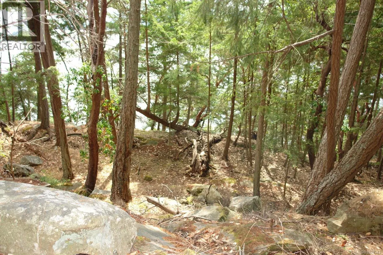 Photo 5 of 12 at 106 Halibut Hill Road