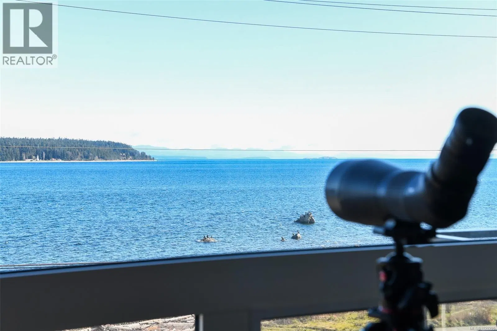 Photo 2 of 53 at #302 – 536 Island Highway