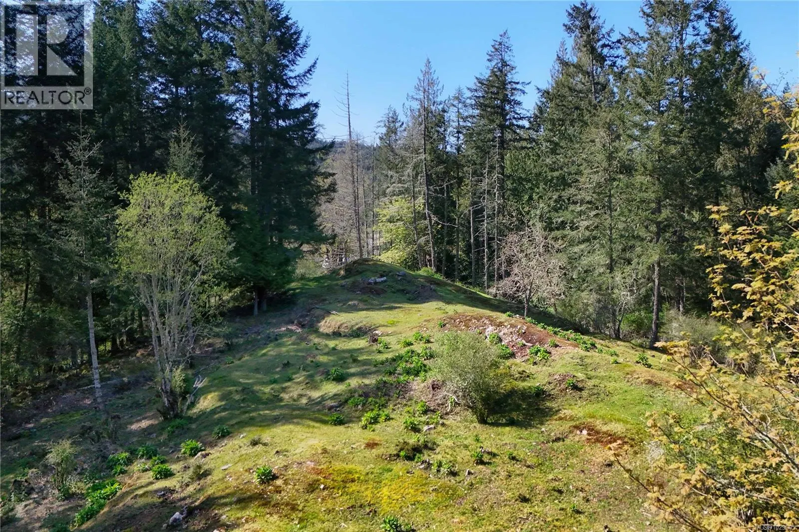 Photo 4 of 22 at 1279 Fulford-Ganges Road
