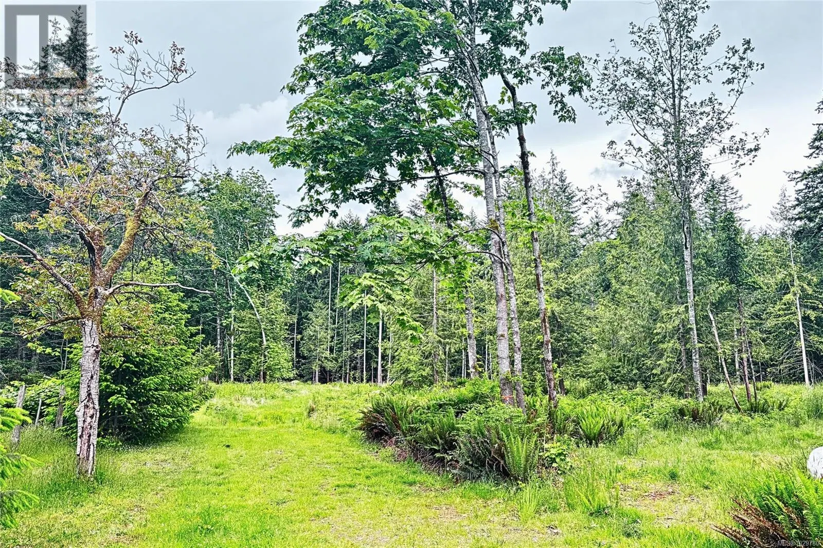 Photo 5 of 32 at Lot B Island Highway