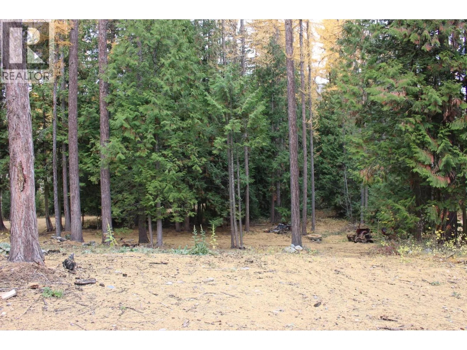 Photo 5 of 16 at 2640 3B Highway