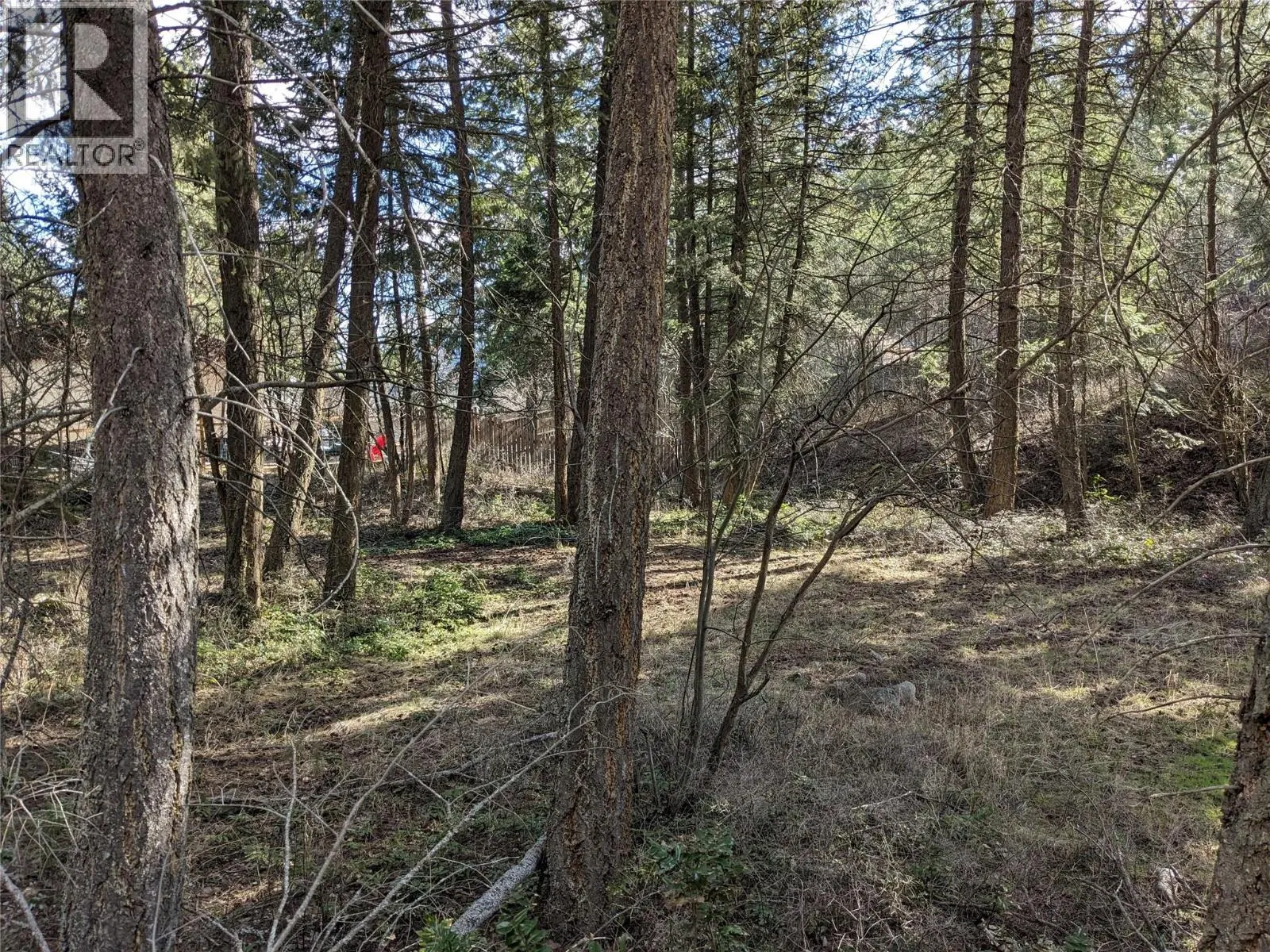 Photo 4 of 18 at 10825 Westshore Road