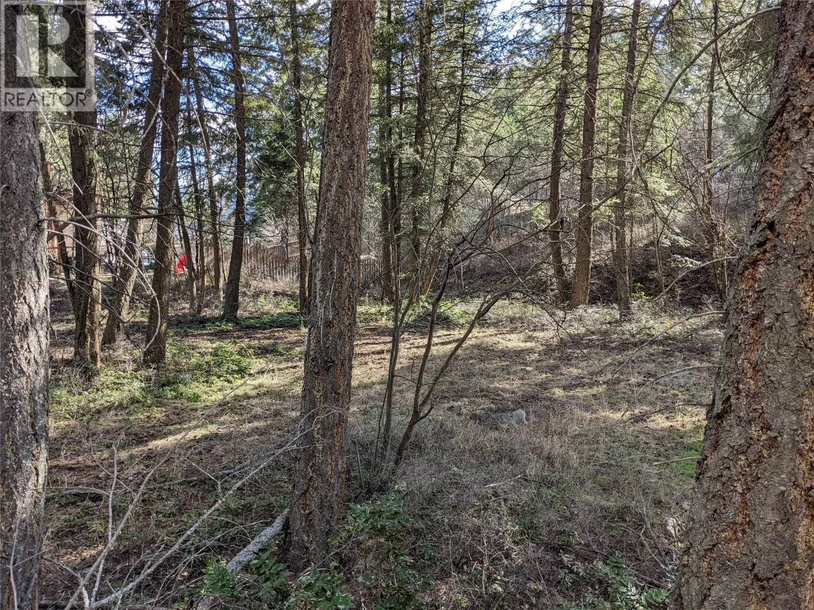 Photo 5 of 18 at 10825 Westshore Road