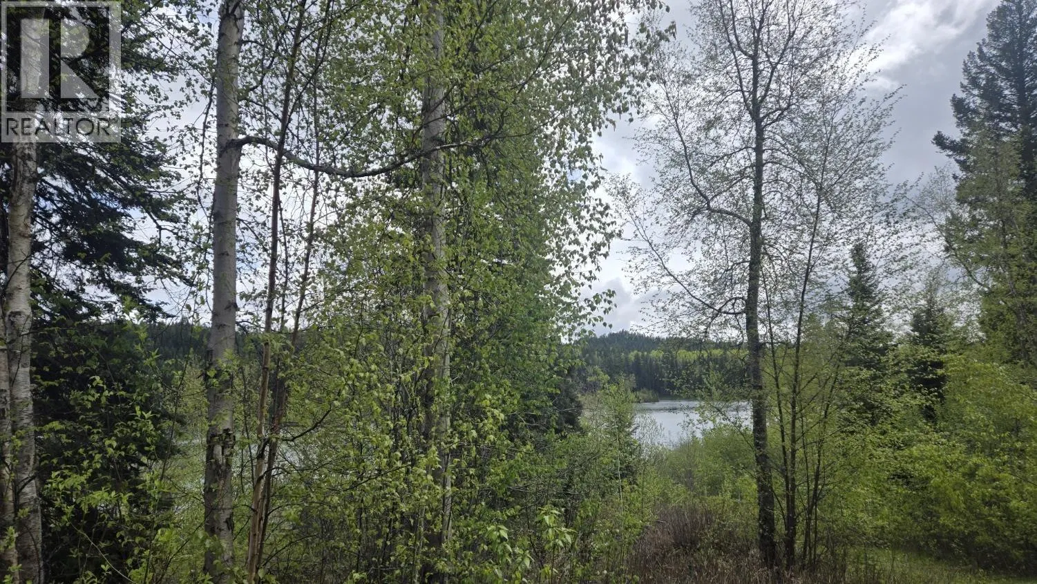 Photo 3 of 17 at 5858 MAHOOD LAKE Road