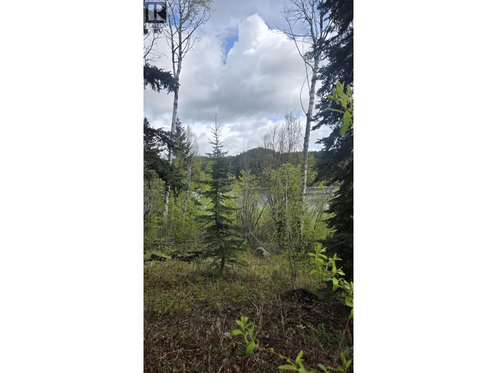 Photo 5 of 17 at 5858 MAHOOD LAKE Road