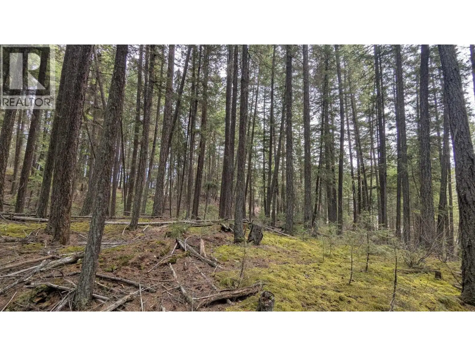 Lot 3 SUMMIT Road