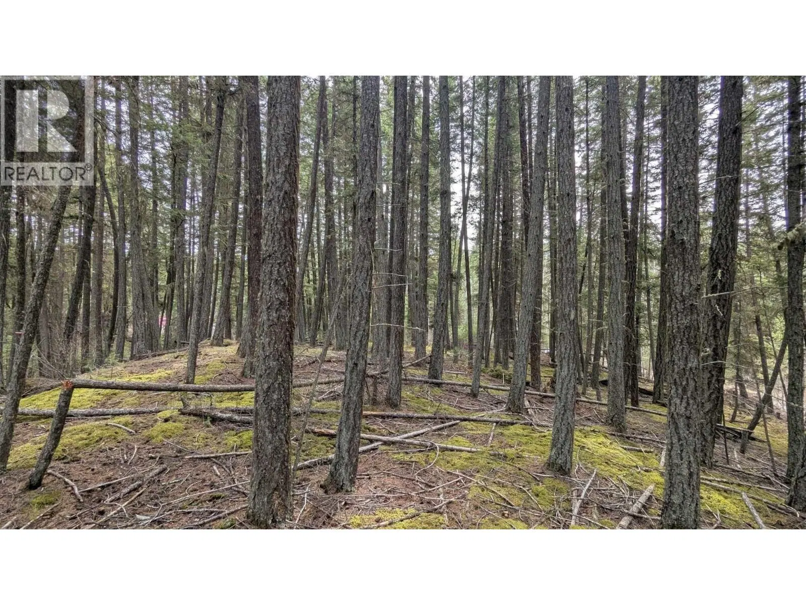 Photo 5 of 17 at Lot 3 SUMMIT Road