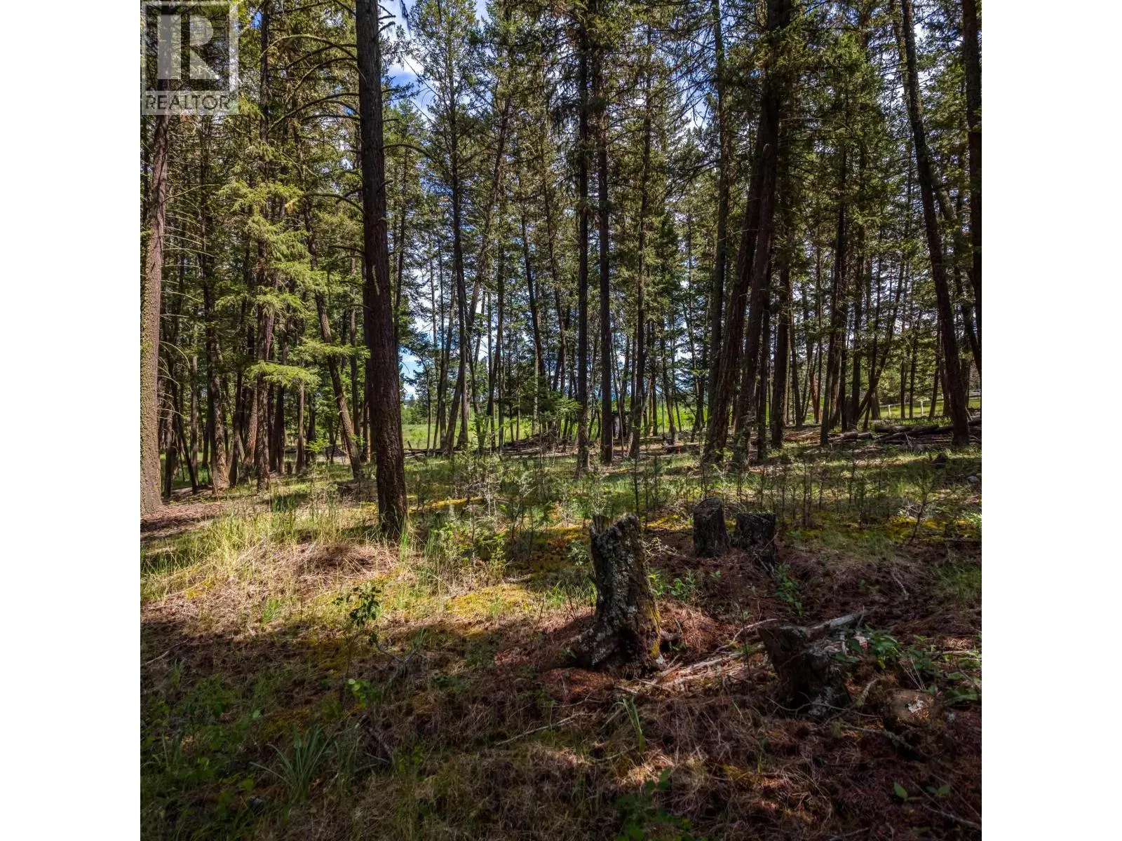 Photo 4 of 12 at LOT 2 LAC LA HACHE STATION Road