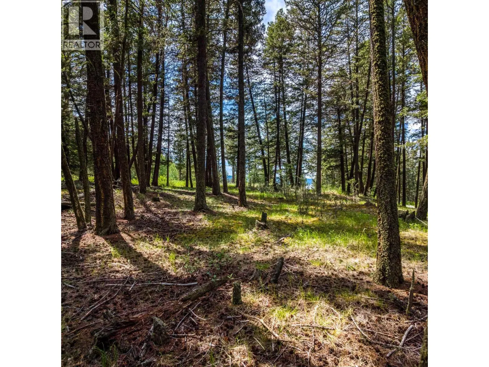 Photo 5 of 12 at LOT 2 LAC LA HACHE STATION Road