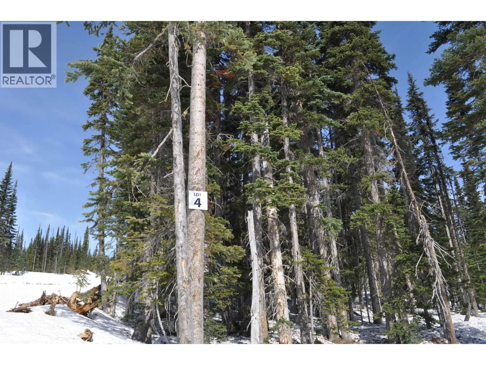 Photo 1 of 11 at PT. – ST 4 ALPINE Way