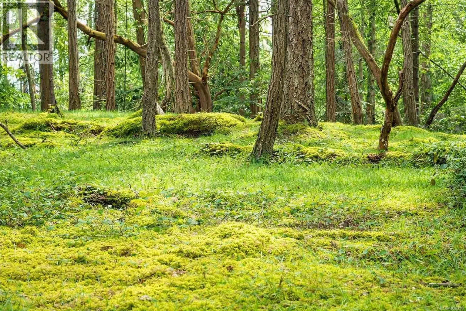 Lot 88 Sockeye Drive