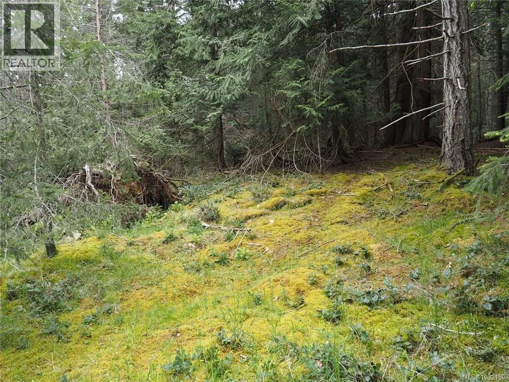 Photo 4 of 7 at Lot 88 Sockeye Drive
