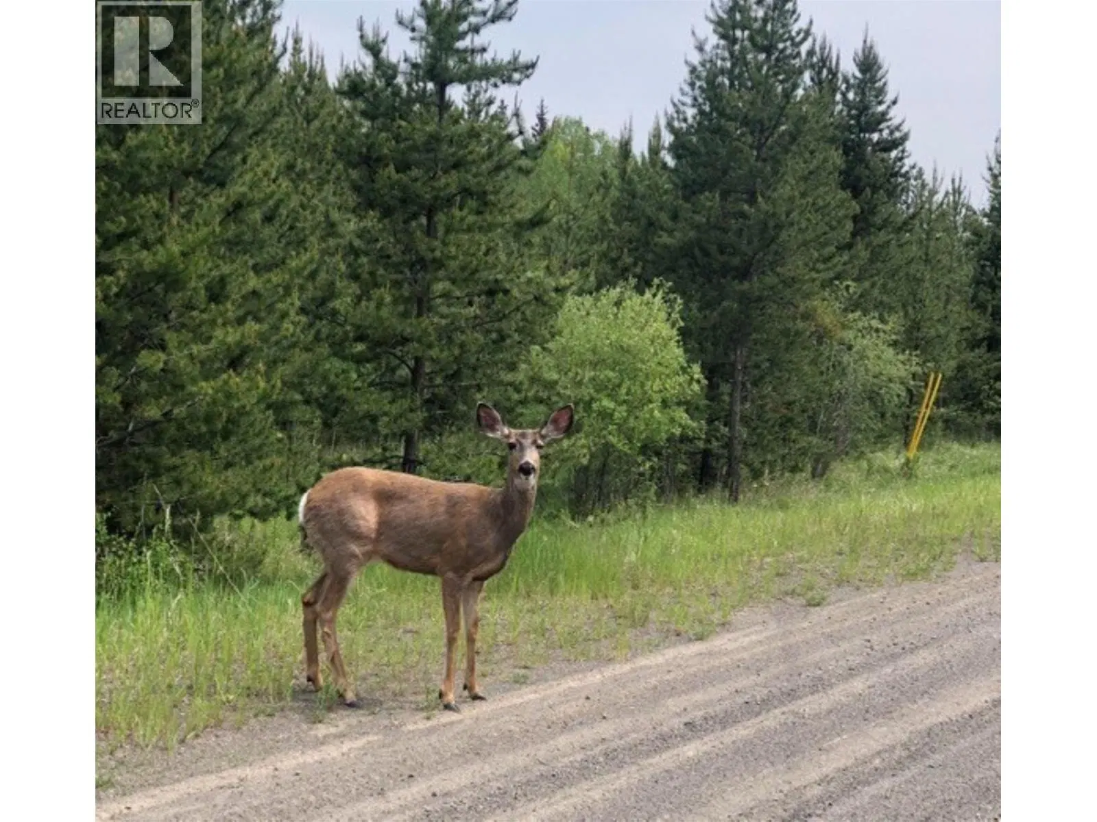 Photo 1 of 10 at LOT 1 – 5916 LITTLE FORT 24 Highway