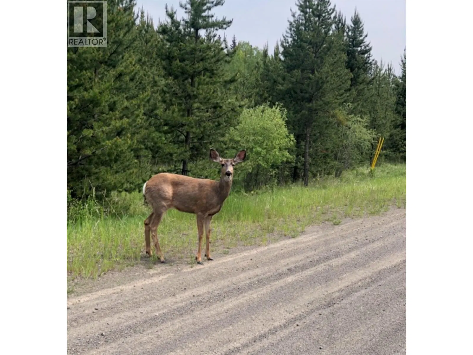 Photo 4 of 10 at LOT 1 – 5916 LITTLE FORT 24 Highway