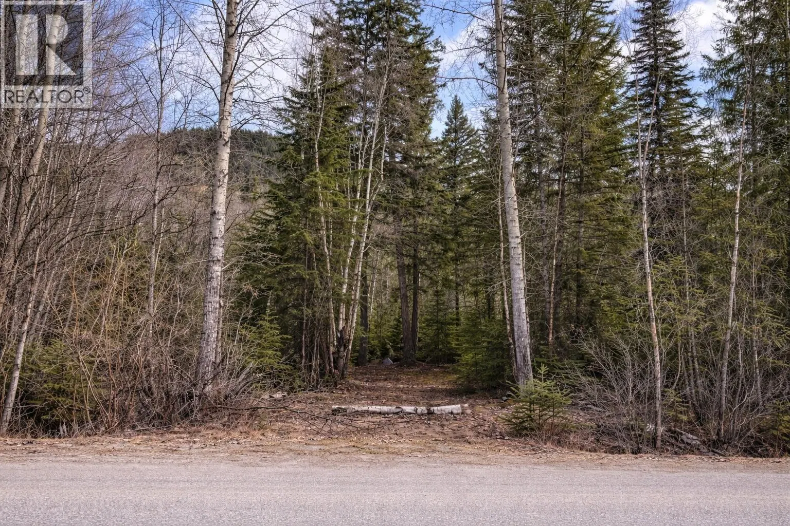 Photo 4 of 9 at LOT 1 CANIM LAKE Road