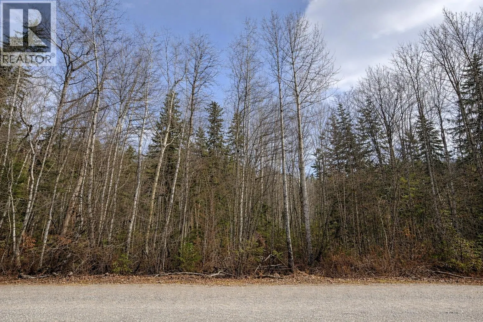 Photo 5 of 9 at LOT 1 CANIM LAKE Road