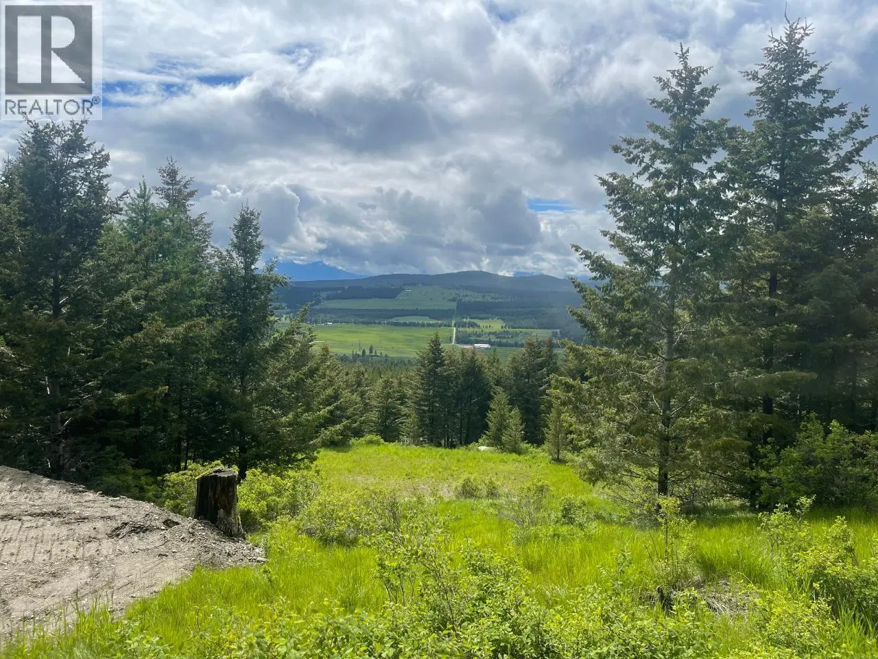 Photo 4 of 13 at 1355 TIMBERWOLF Trail