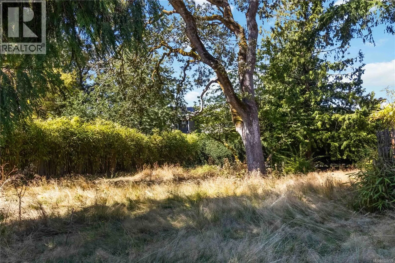 Photo 5 of 17 at 933 Woodhall Drive