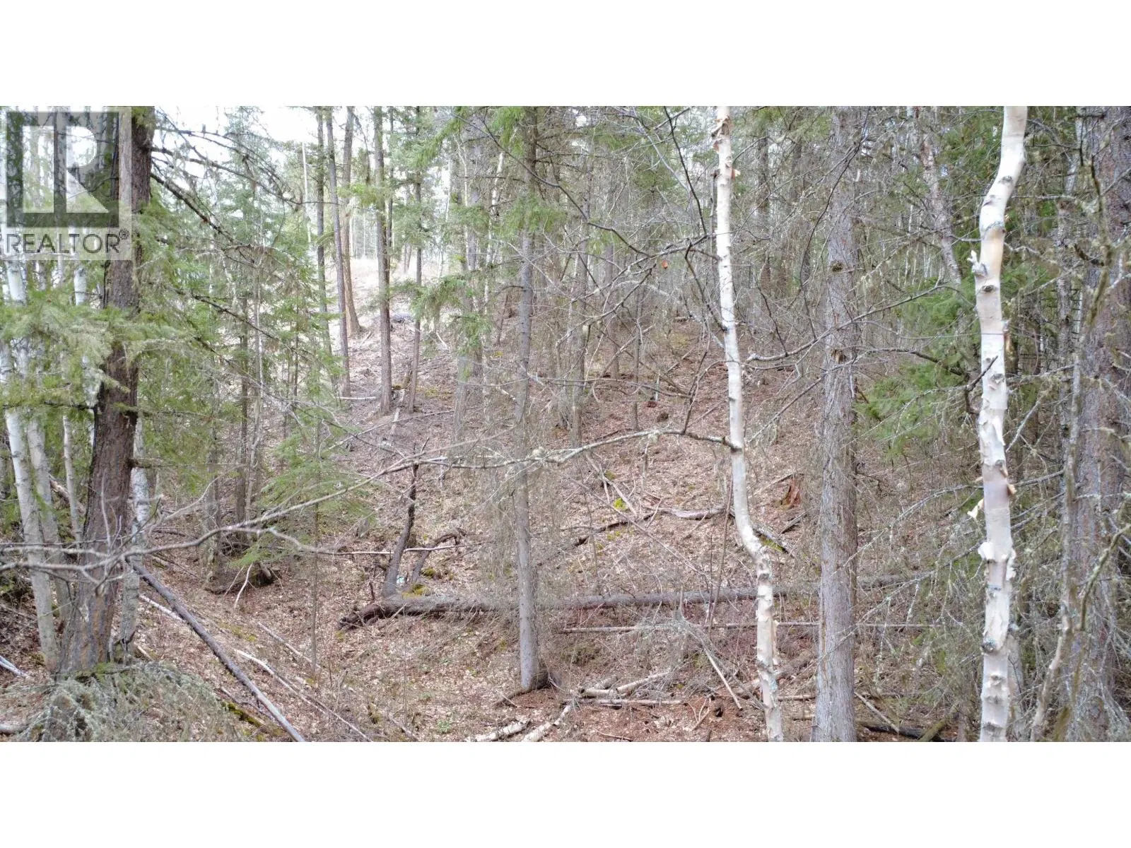 Photo 2 of 13 at LOT 12 SUMMIT Road