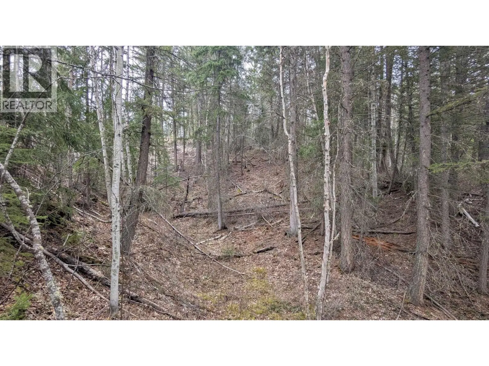 Photo 3 of 13 at LOT 12 SUMMIT Road