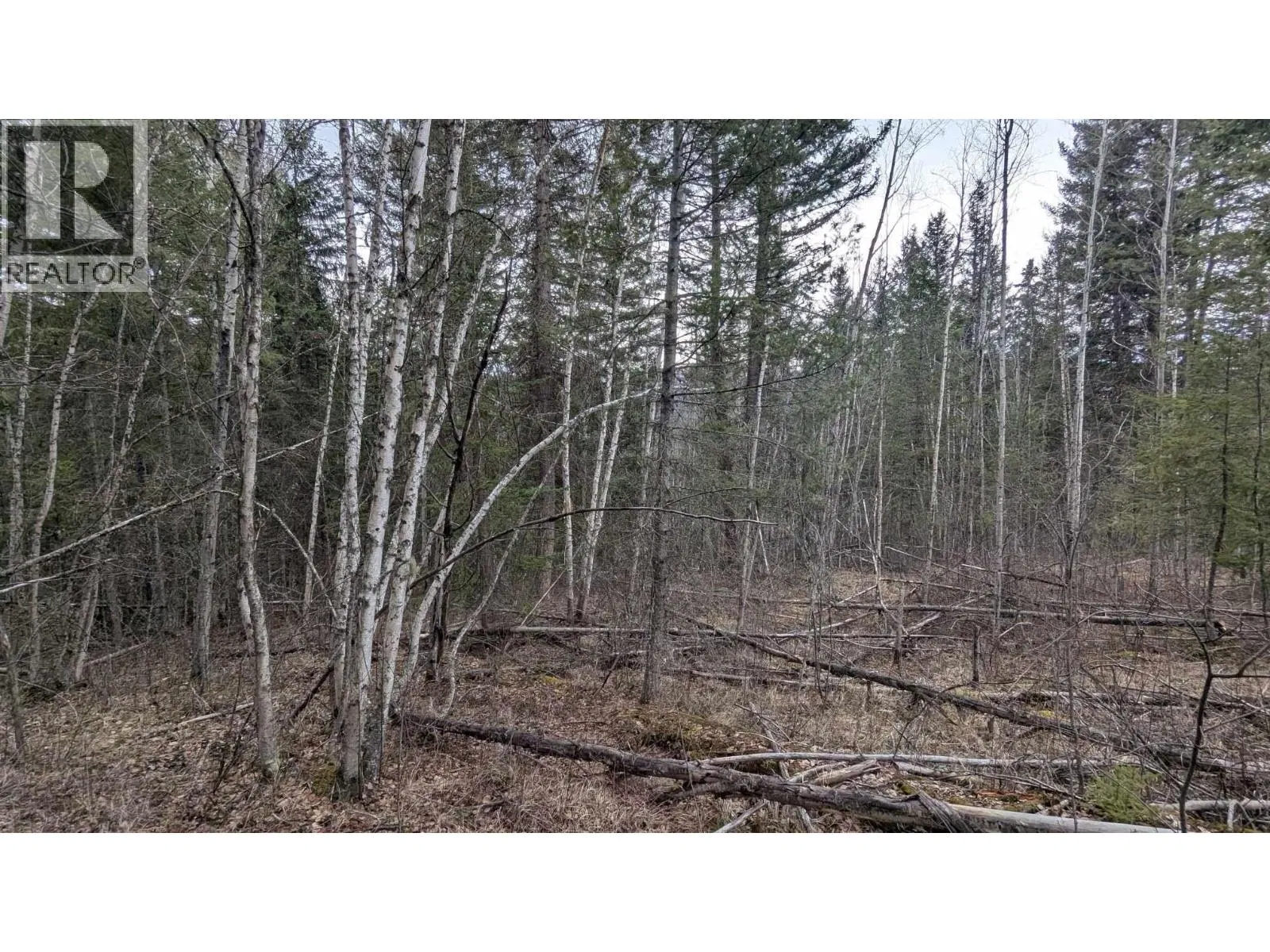 Photo 4 of 13 at LOT 12 SUMMIT Road