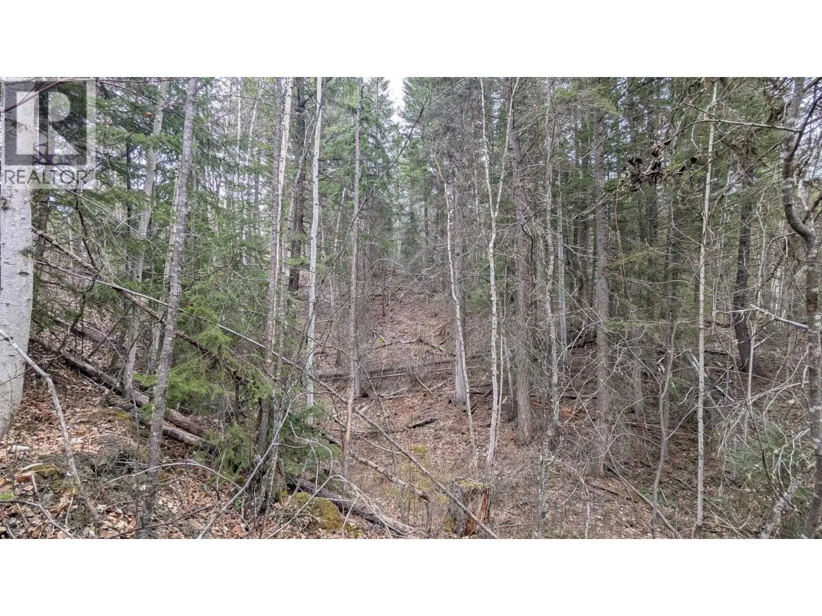 Photo 5 of 13 at LOT 12 SUMMIT Road