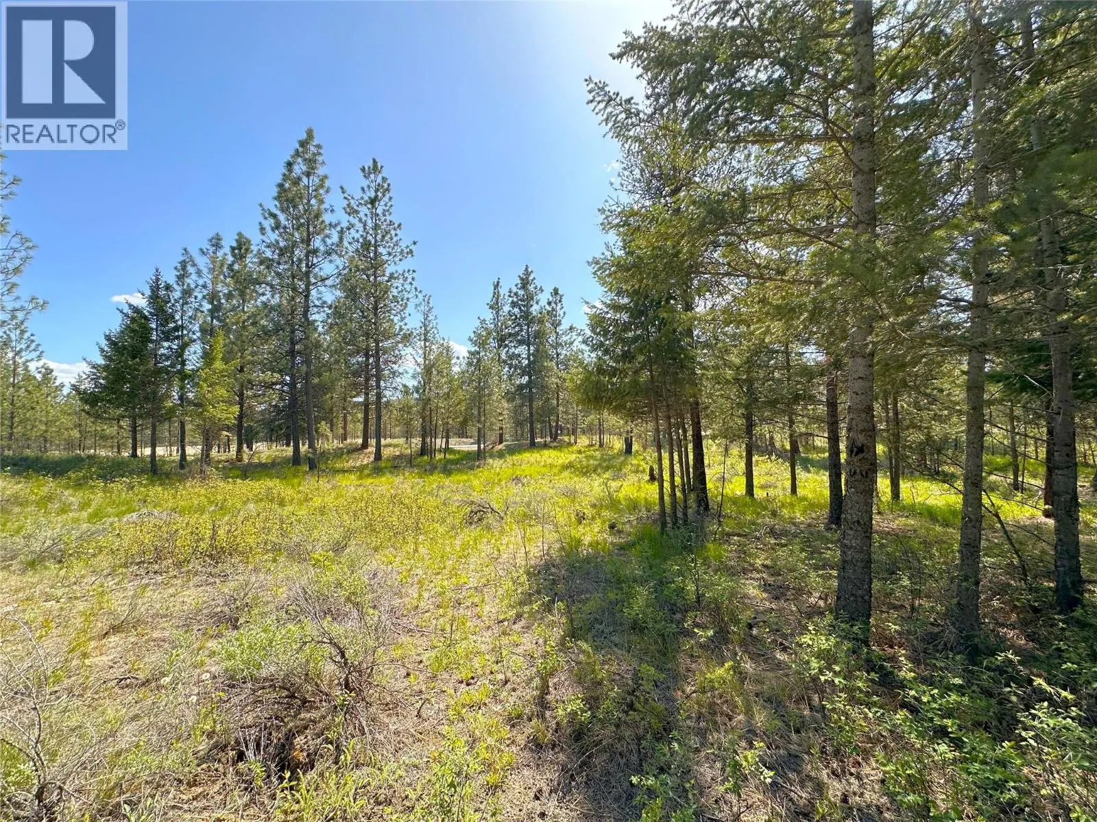 Photo 3 of 18 at 121 Corral Boulevard