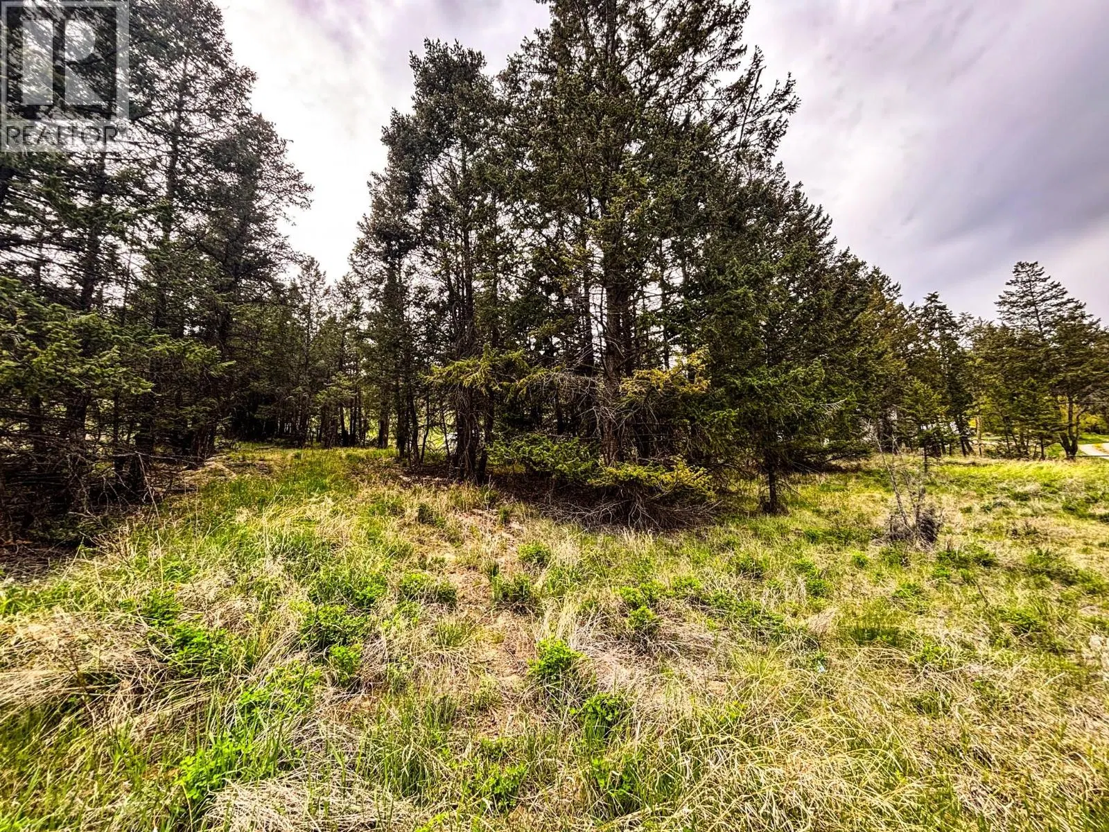 Photo 5 of 18 at Lot A COLUMBIA LAKE Road
