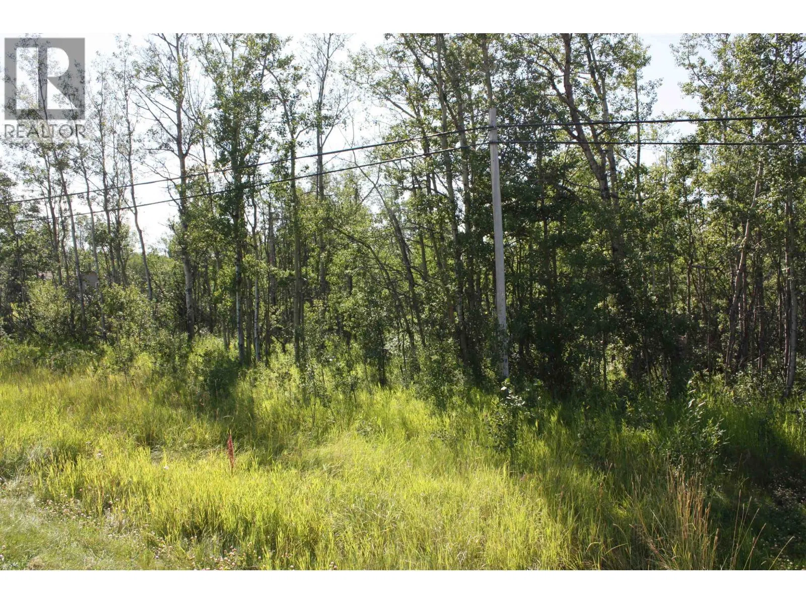 Photo 5 of 7 at LOT 2 ROSE PRAIRIE Road