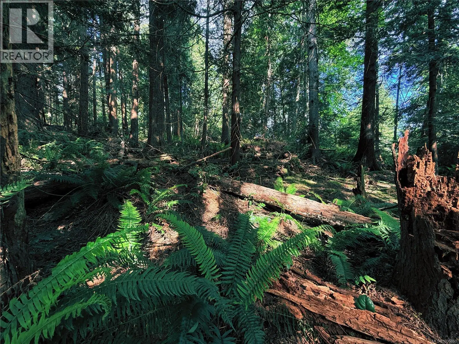Lot 6 Spruce Avenue