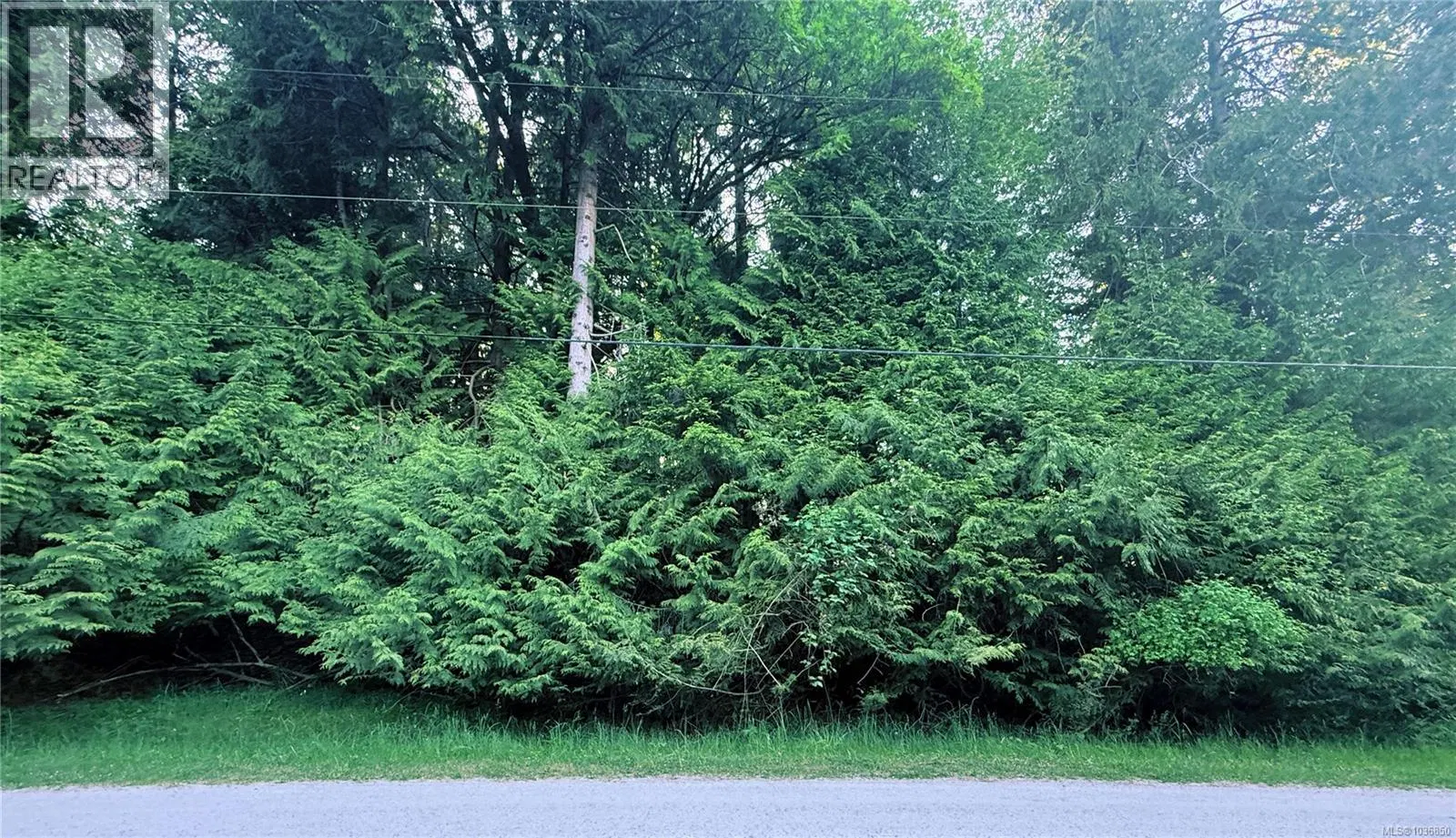 Photo 4 of 5 at Lot 6 Spruce Avenue