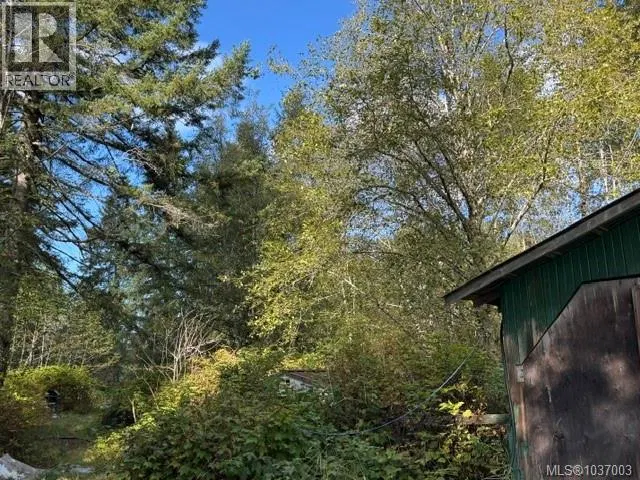 Photo 4 of 8 at 3476 MacAulay Road