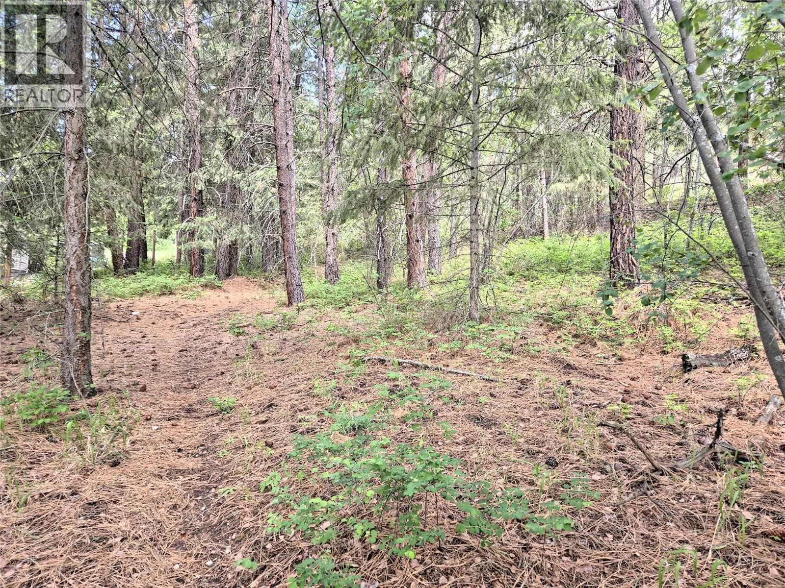 10742 Pinecrest Road