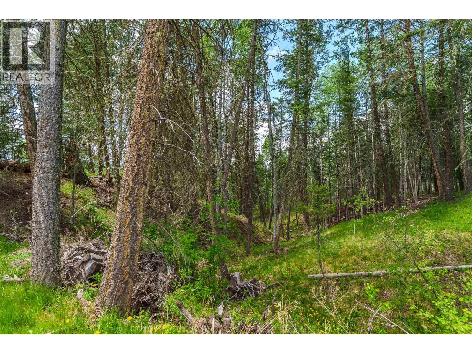 Photo 5 of 29 at LOT – 117 BLOCK Drive