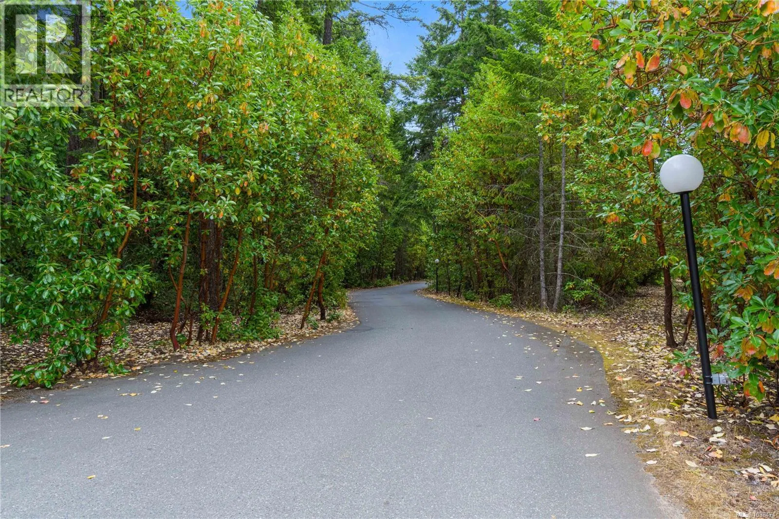 Photo 5 of 30 at #33 – 1165 Resort Drive