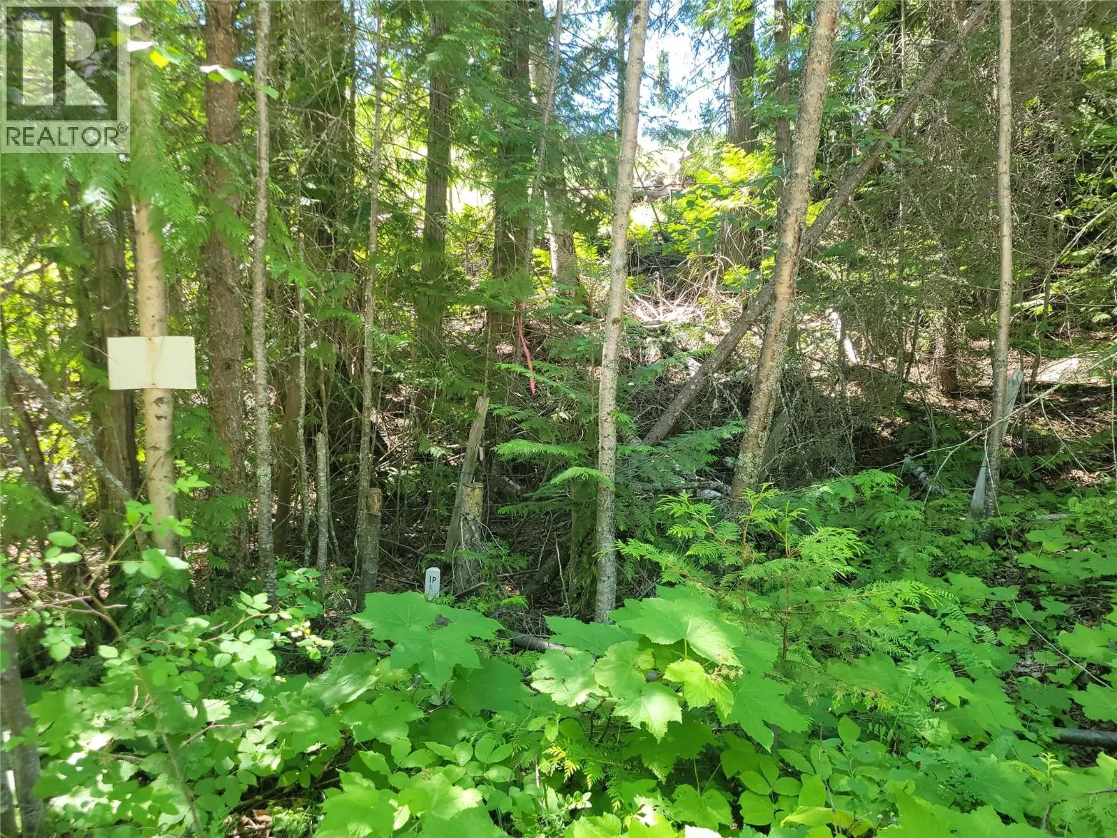 Photo 5 of 17 at 941 CHASE FALKLAND Road