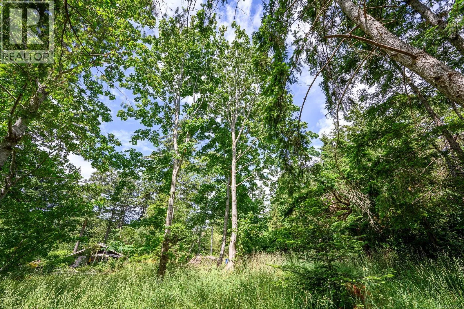 Photo 1 of 22 at 4920 Kirk Road