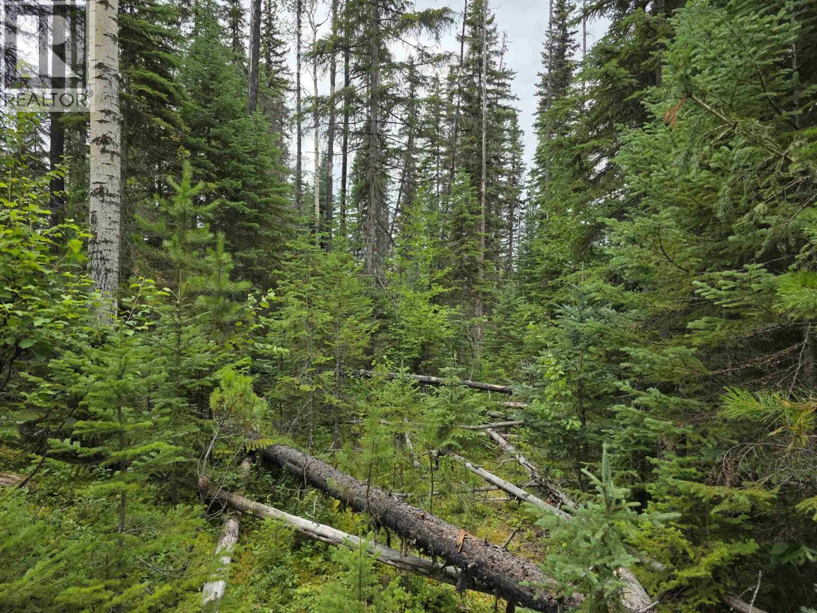 Photo 5 of 9 at LOT – 5 BOWRON LAKE Road