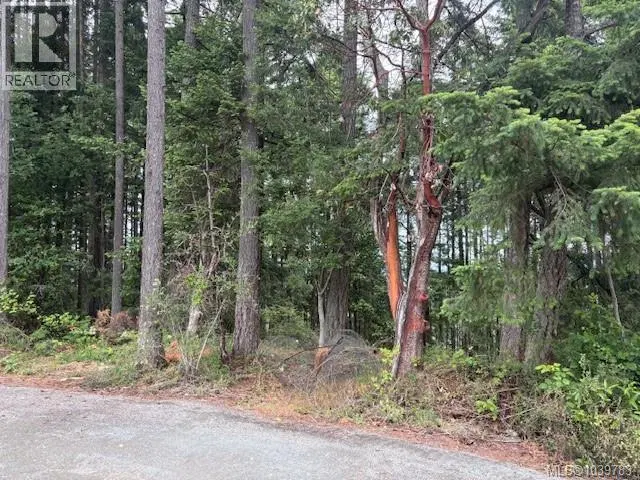 Photo 3 of 4 at 293 Adderly Road