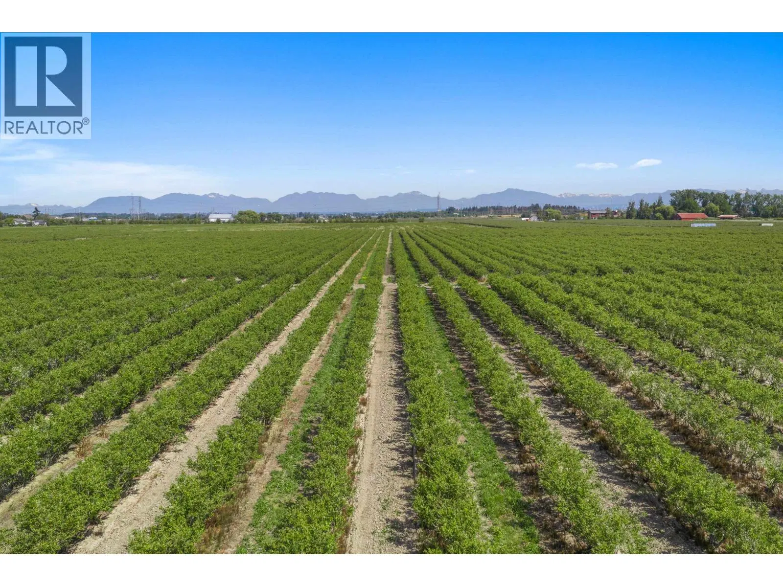 Photo 5 of 8 at LOT 7 LADNER TRUNK Road
