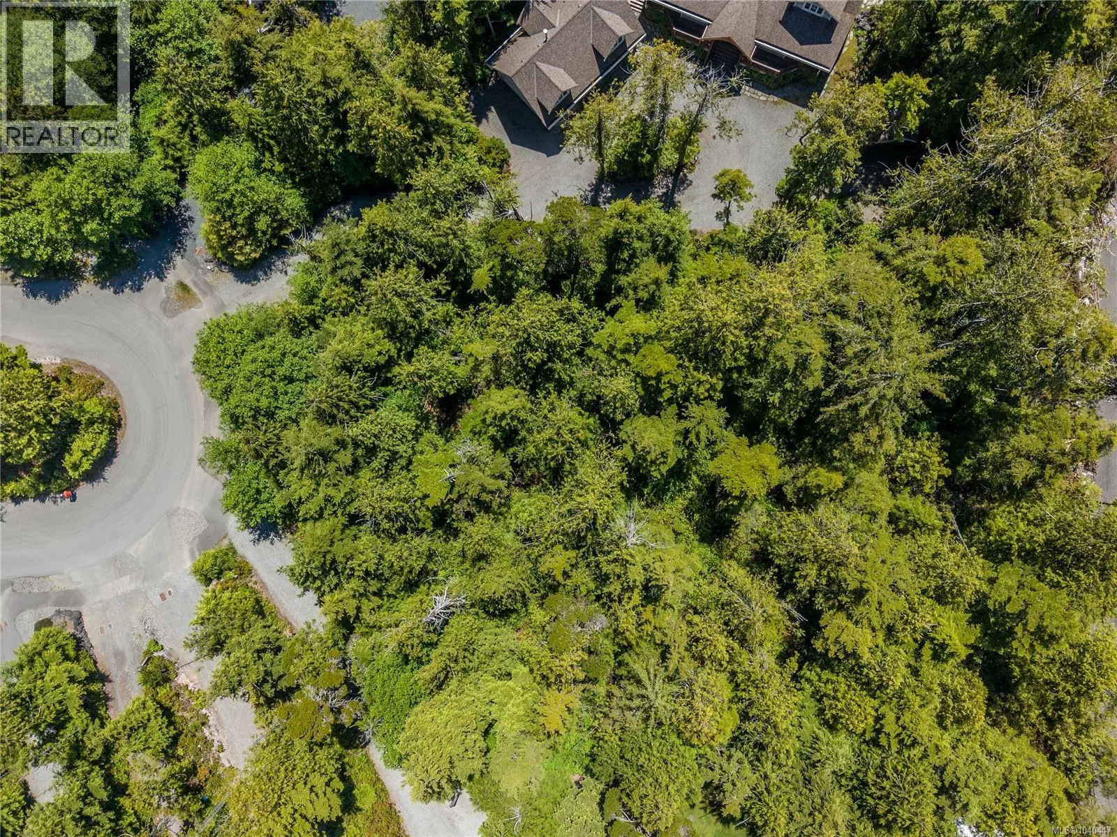 Photo 5 of 8 at 1797 Rainforest Lane