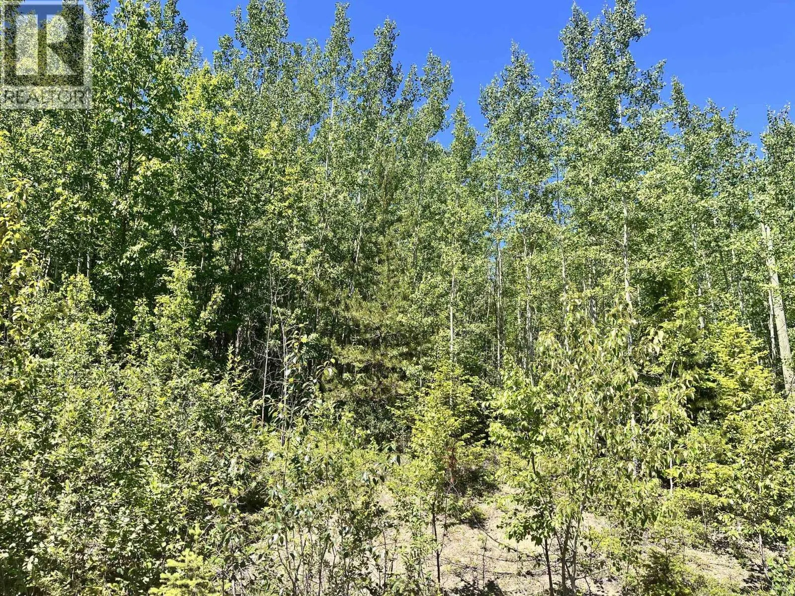 Photo 4 of 8 at LOT – 8 PURSER CREEK Road