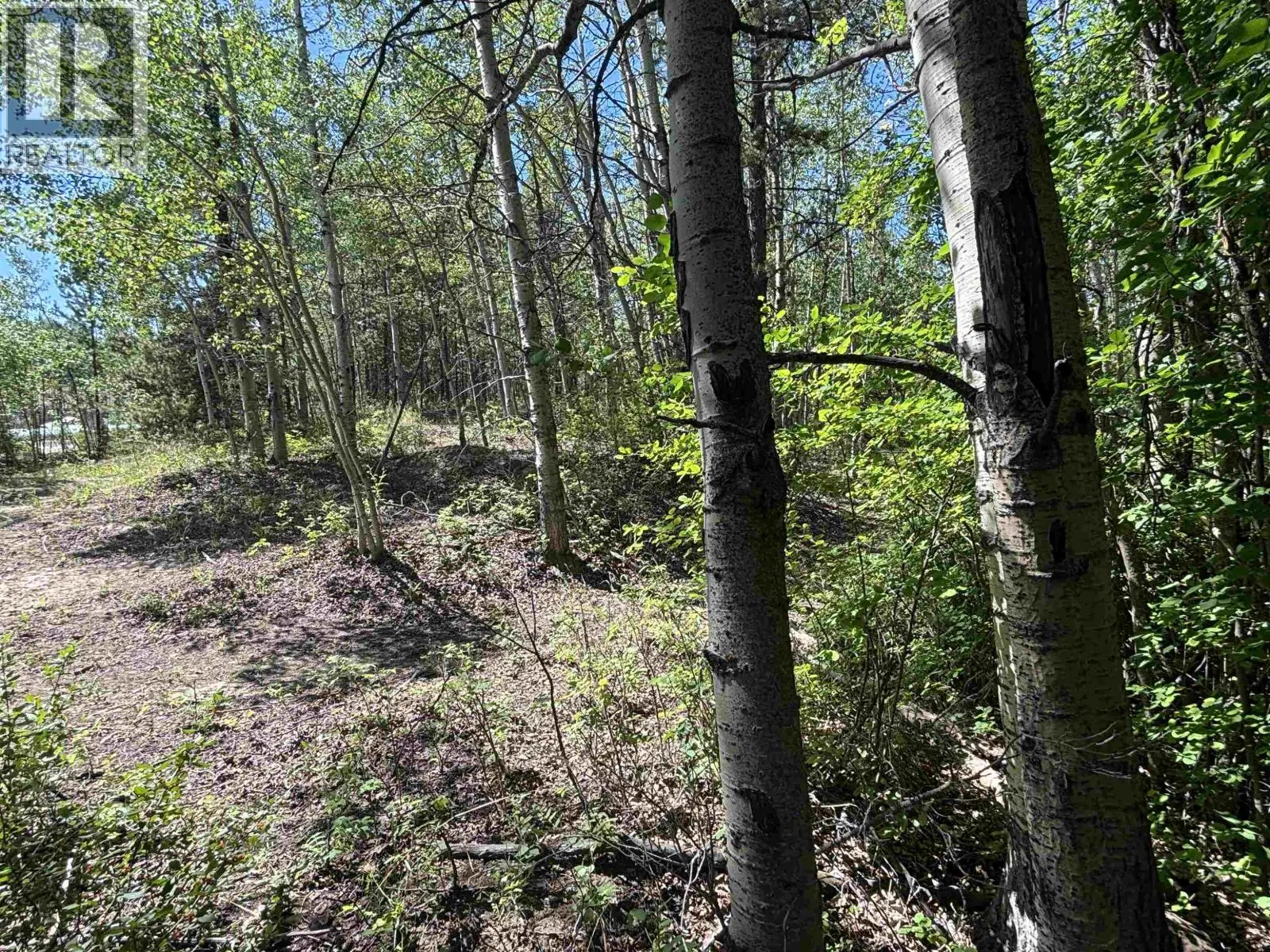 Photo 5 of 9 at 501 SILVERMILL Road