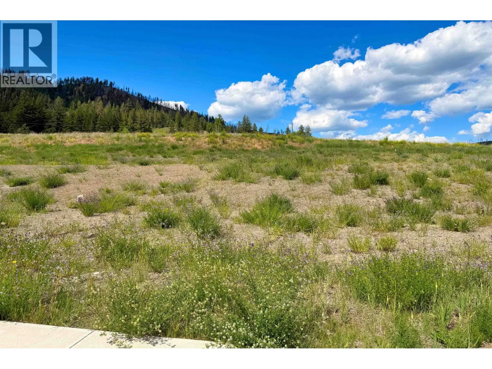 Photo 2 of 3 at LOT 160 – 2518 GOPHER Drive