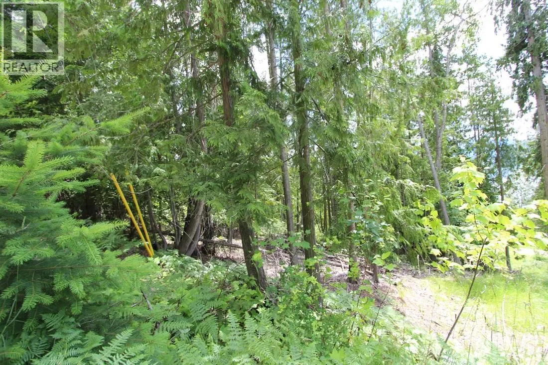 Photo 3 of 6 at Vickers Trail