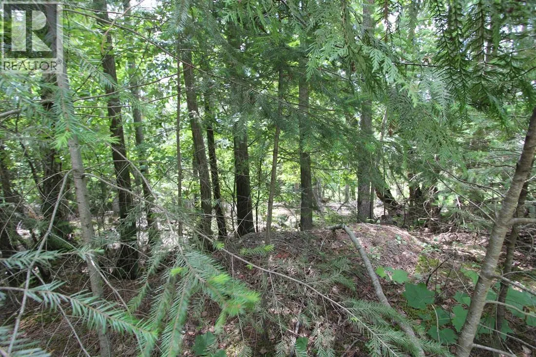 Photo 5 of 6 at Vickers Trail