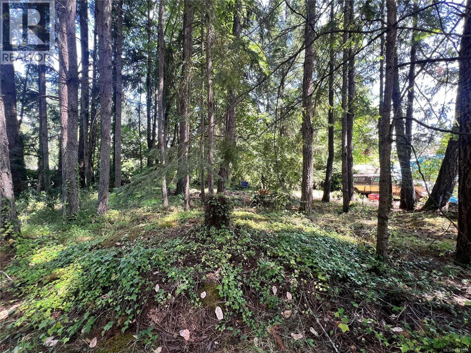 Photo 2 of 6 at Lot B Chemainus Road