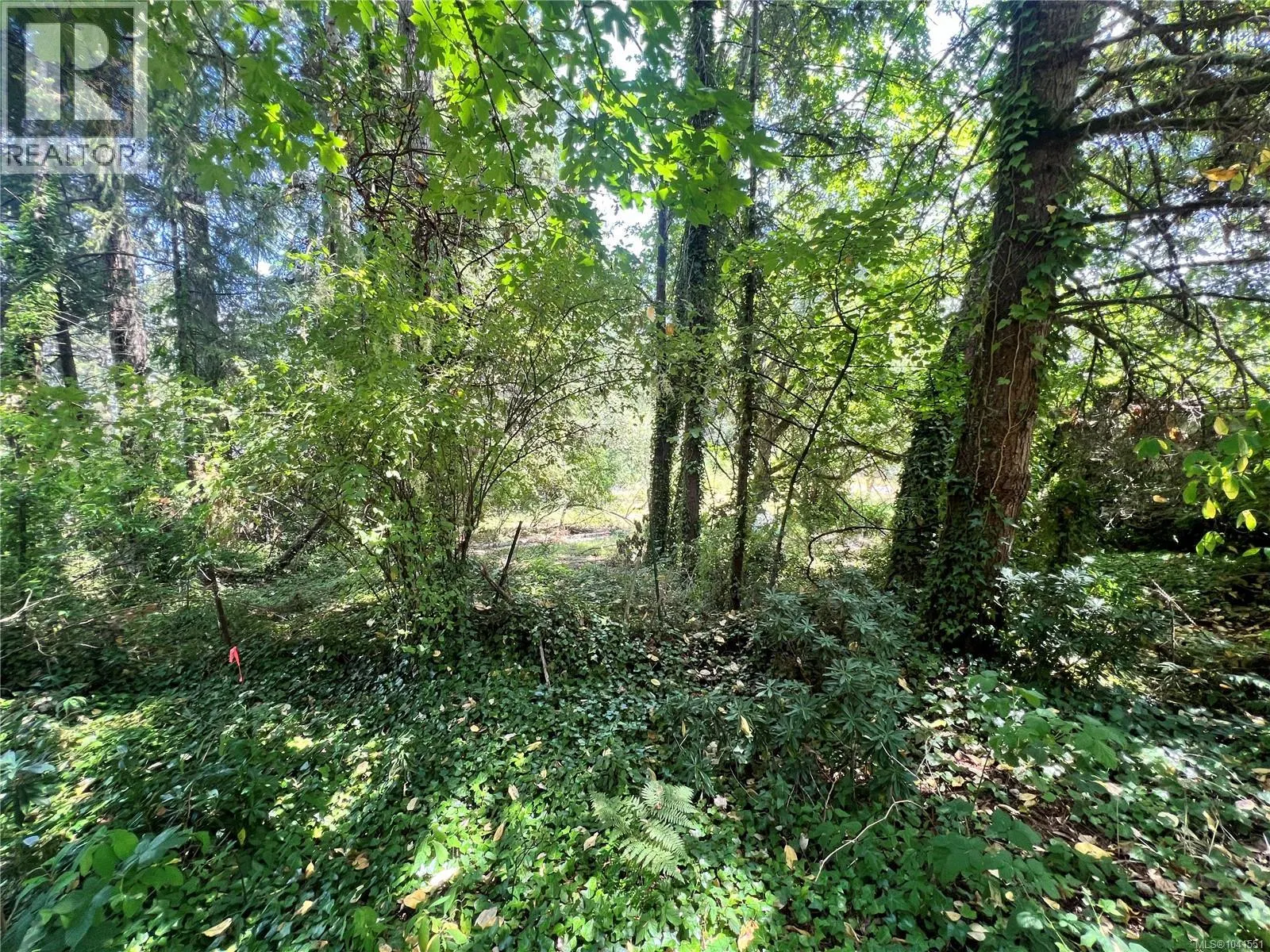 Photo 3 of 6 at Lot B Chemainus Road